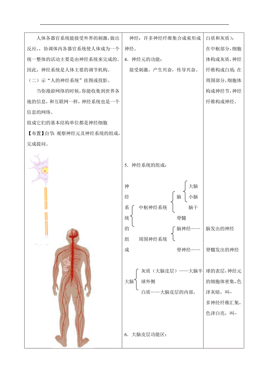 江苏省南通市实验中学八年级上册生物教案《人体的神经调节》 _第2页