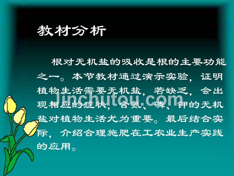 翼教版生物3.2《吸收作用与水肥管理》课件2（八年级上）_第2页