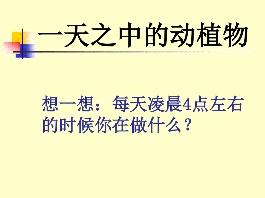 （鄂教版）六年级科学上册课件 一天中的动植物 1_第2页