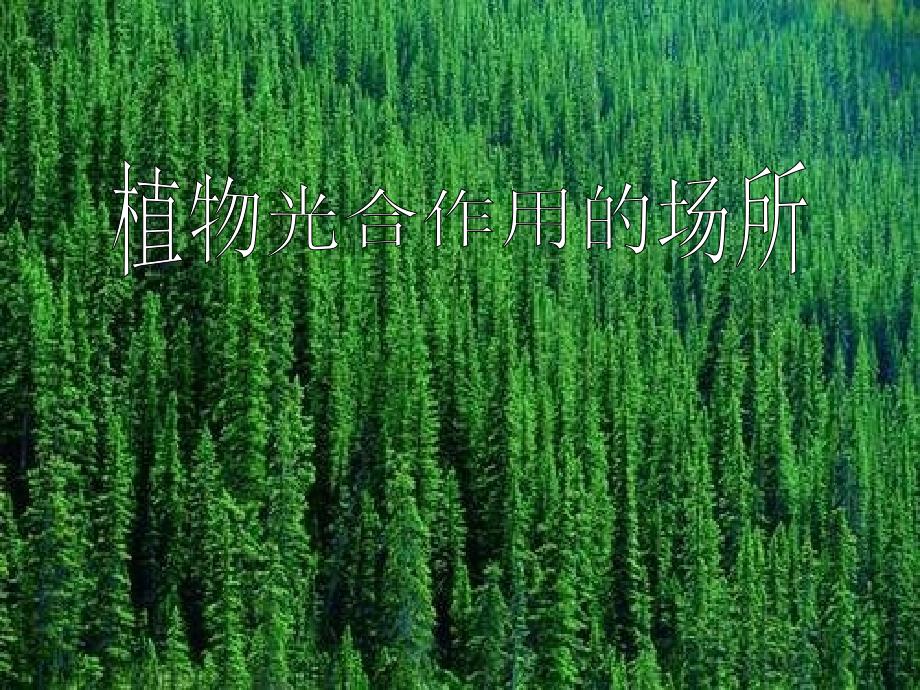 甘肃省会宁县新添回民中学七年级生物上册课件 6.2《植物光合作用的场所》（2）_第1页