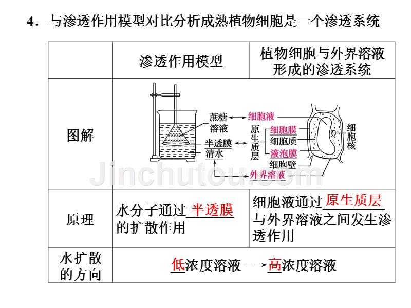 高一生物加强课五(物质跨膜运输)_第5页