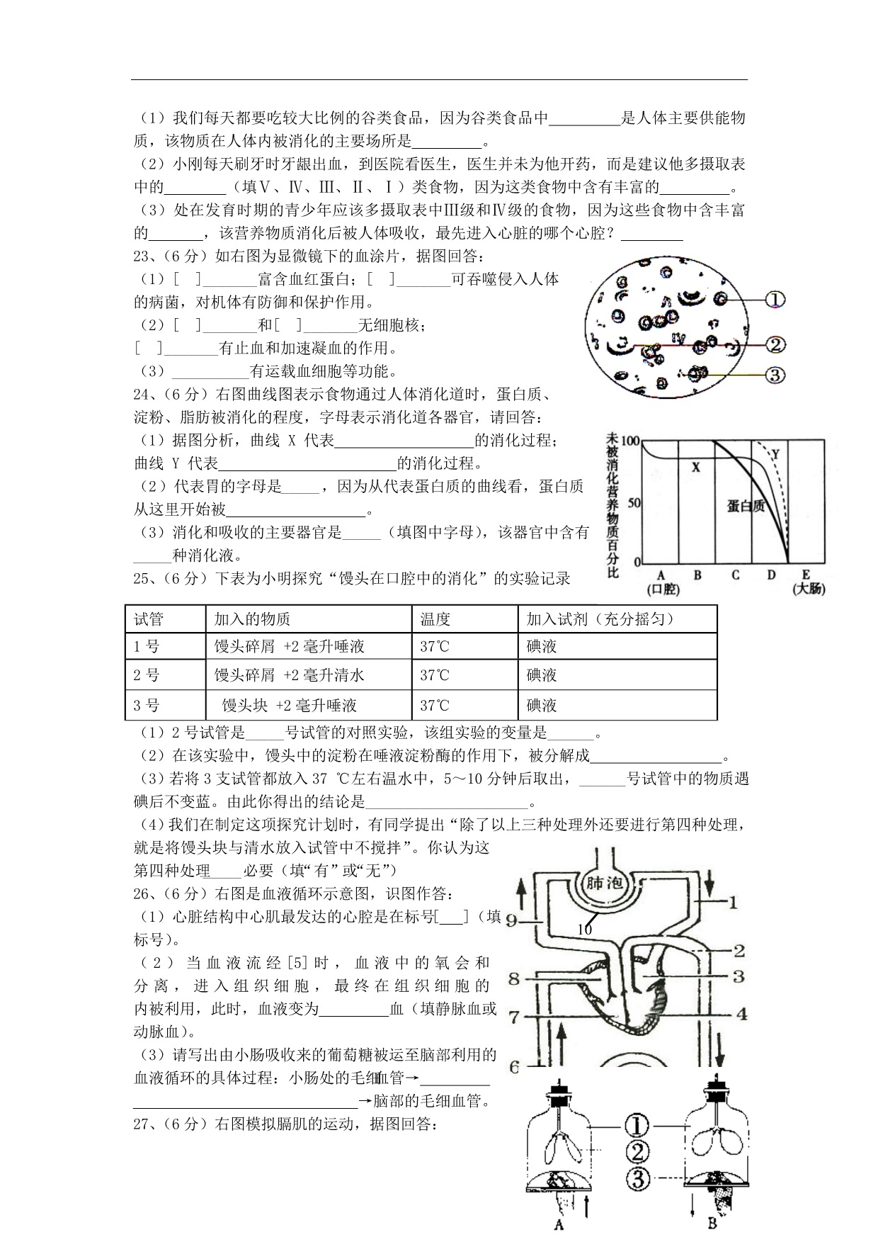 湖南省七年级生物下册导学案：阶段复习_第3页