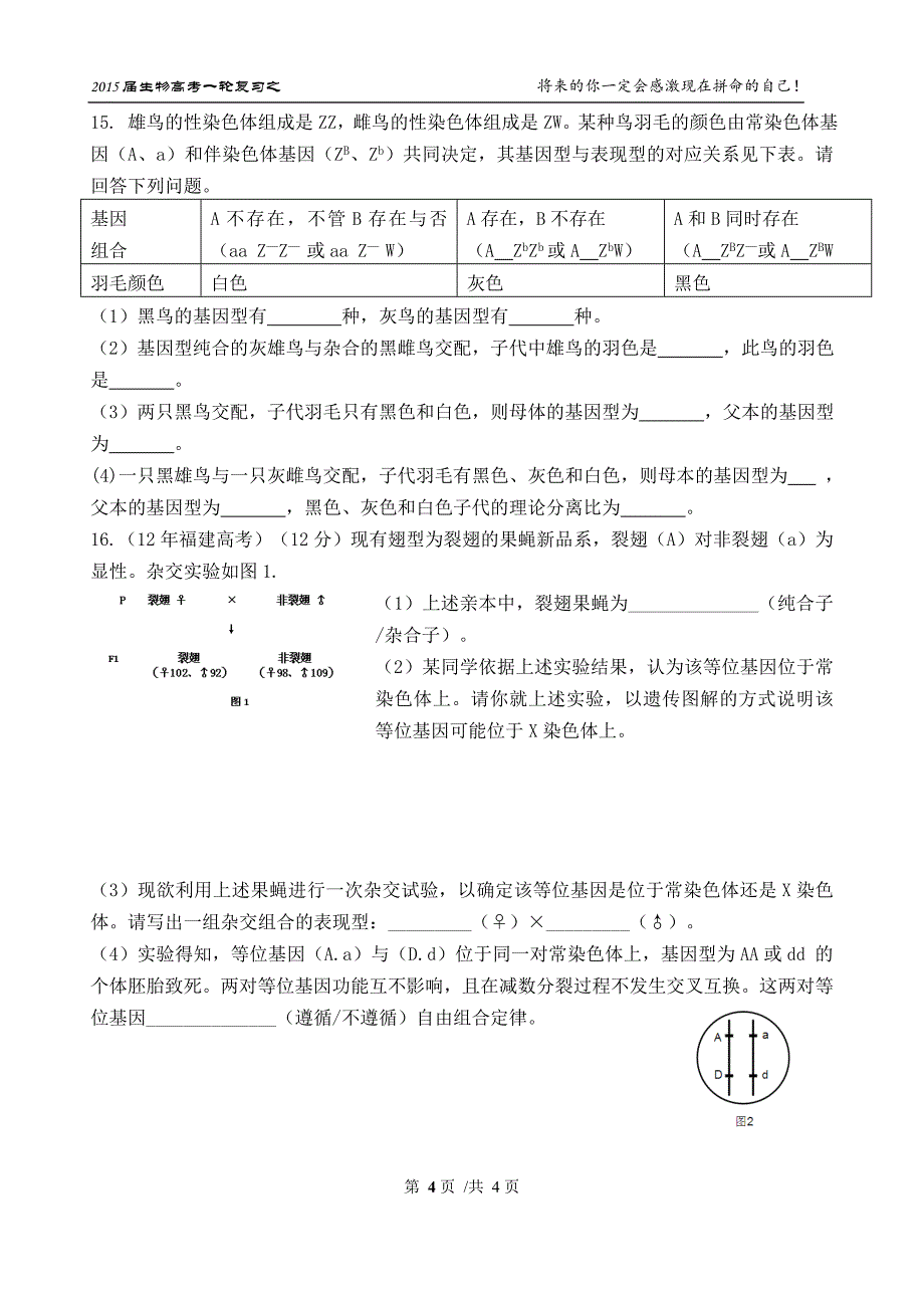 伴性遗传及遗传规律  补充练习1_第4页