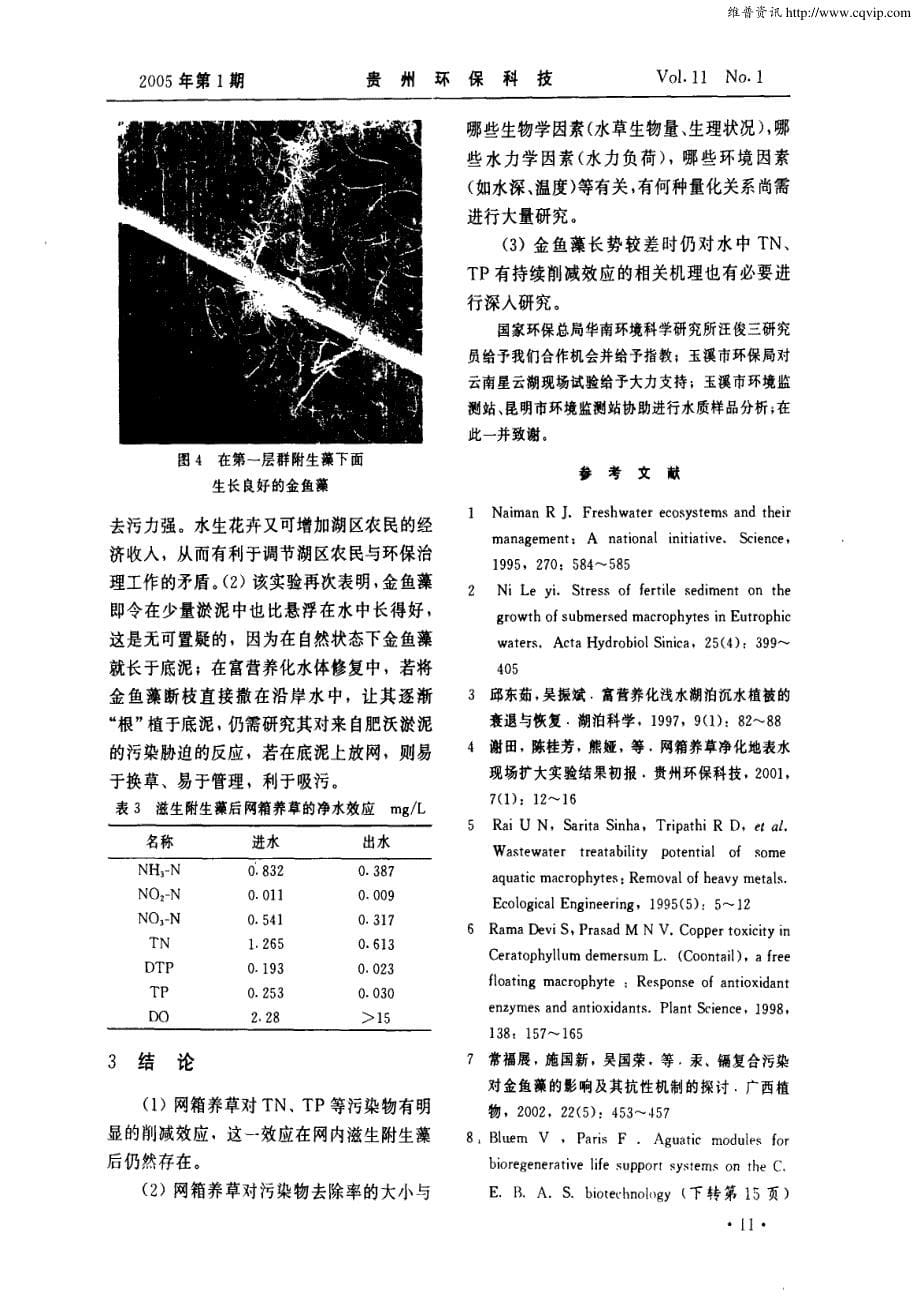 “网箱养草”净化水质的设想及初步试验结果——Ⅳ污染物削减效应探讨_第5页