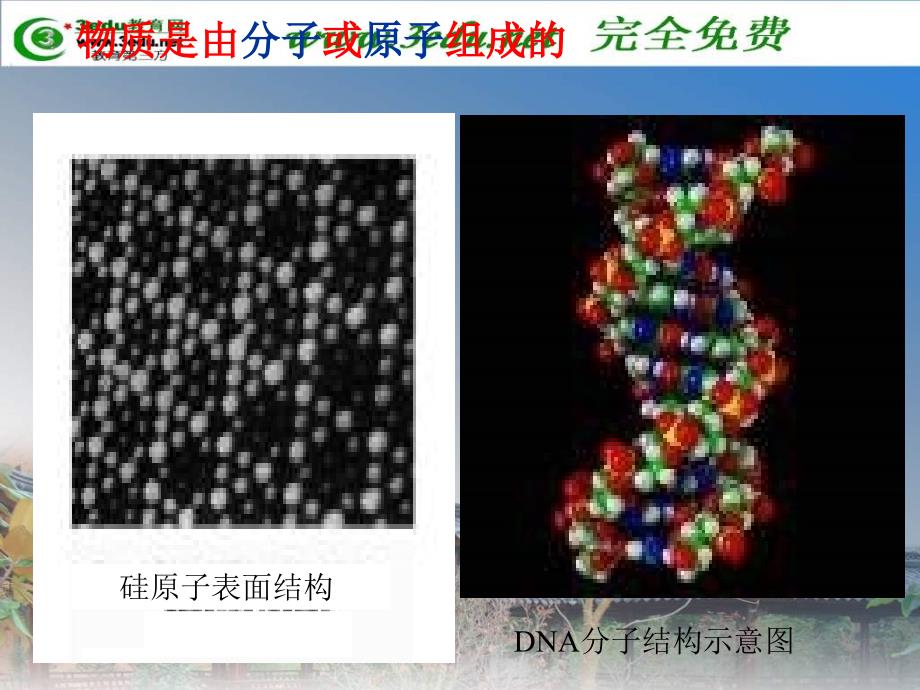 八年级物理走进微观1_第4页