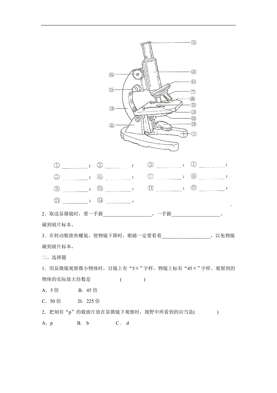 甘肃省白银市会宁县新添回民中学七年级上册生物：《探索生命的器具》教案2_第3页