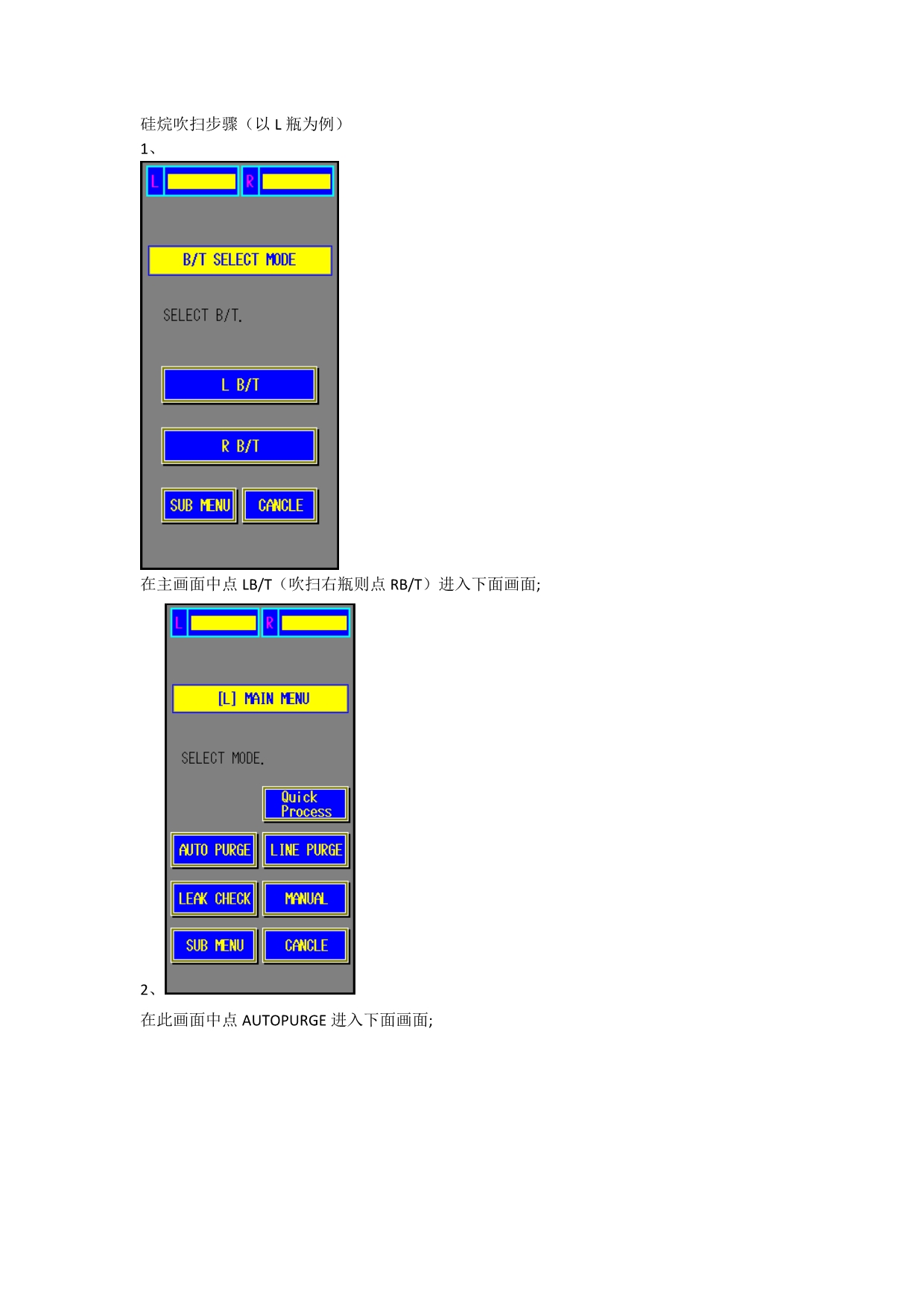 硅烷吹扫步骤_第1页