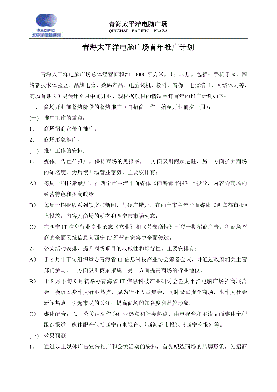 青海太平洋电脑广场首年推广计划_第1页