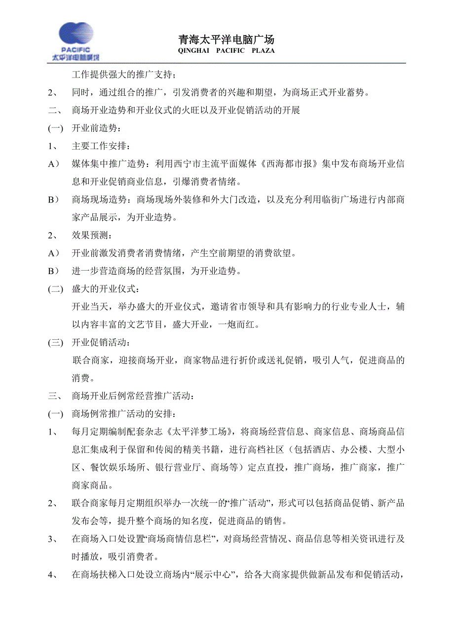 青海太平洋电脑广场首年推广计划_第2页