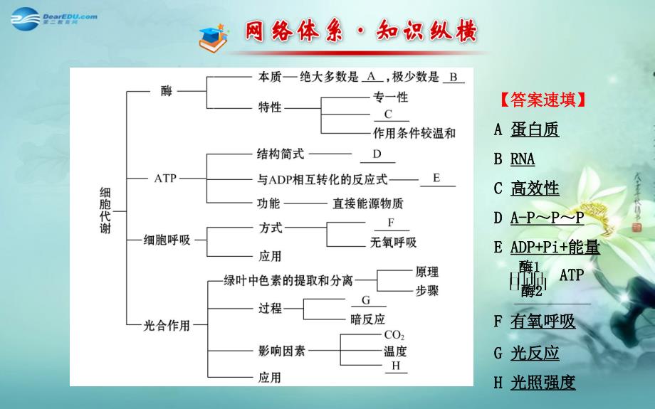 【世纪金榜】2014-2015学年高中生物 第5章 细胞的能量供应和利用阶段复习课课件 新人教版必修1_第2页