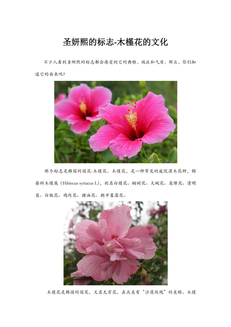 圣妍熙的标志-木槿花的文化_第1页