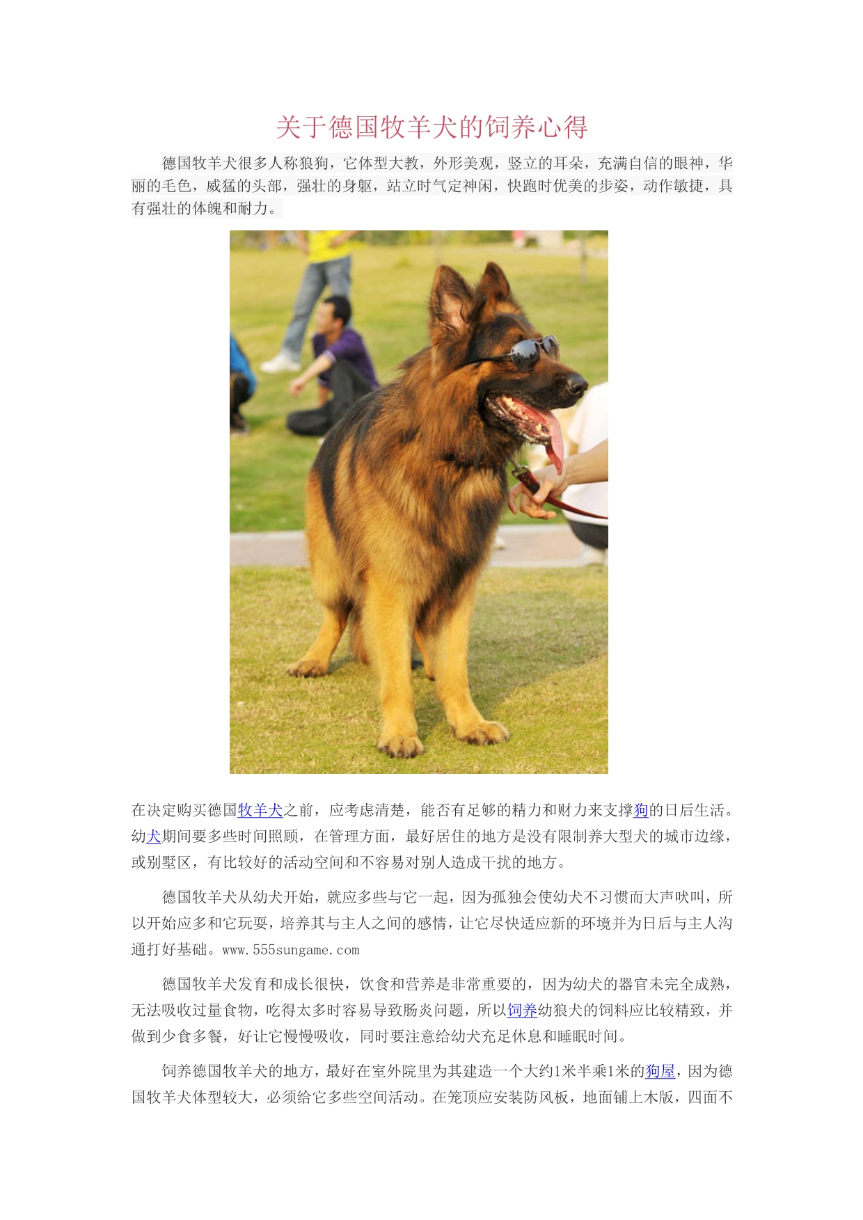 关于德国牧羊犬的饲养心得_第1页