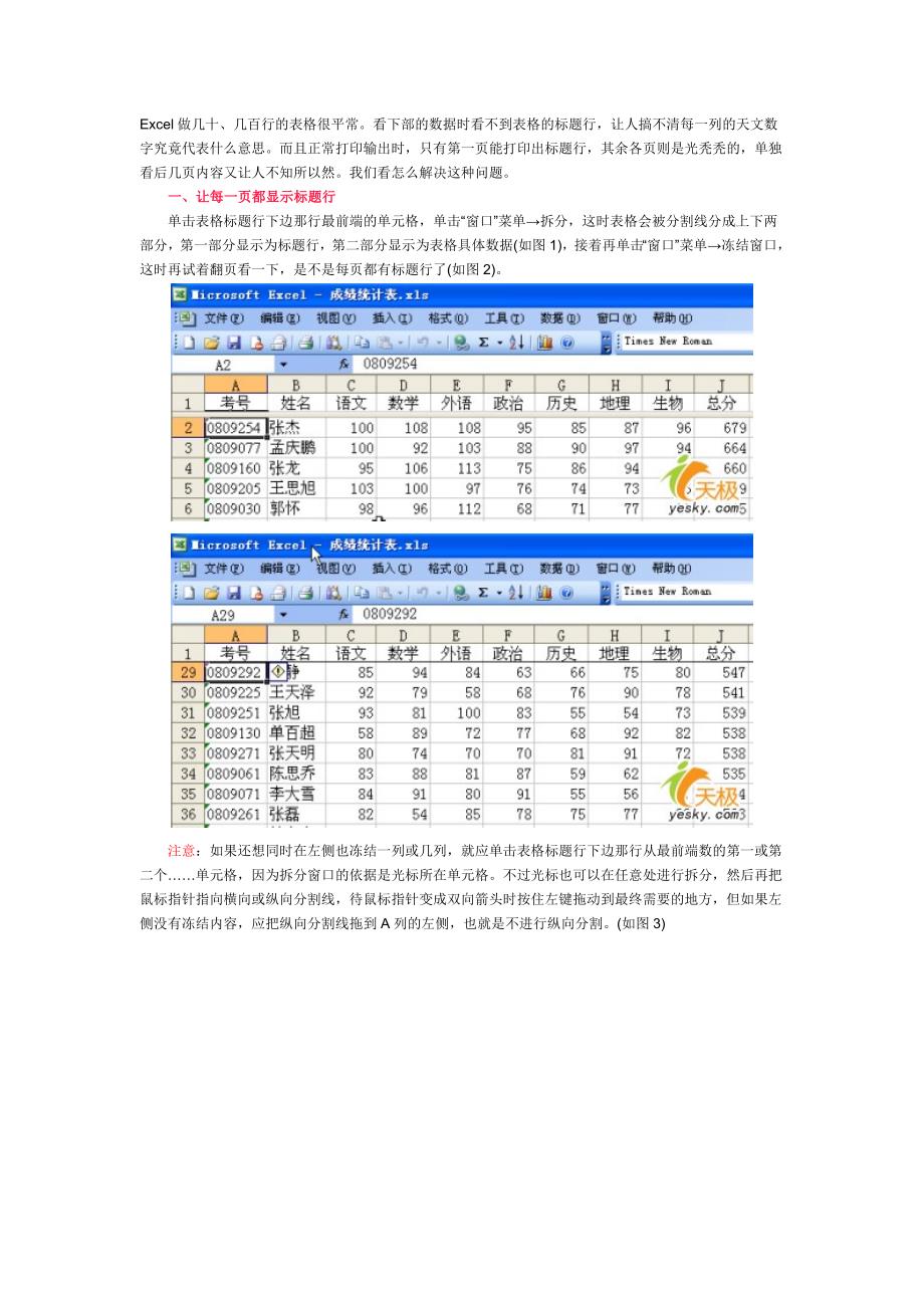 巧妙设置Excel表格标题行轻松显现_第1页