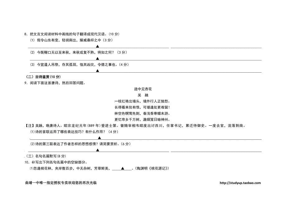 云南省曲靖一中2011届高考冲刺卷(语文)_第5页