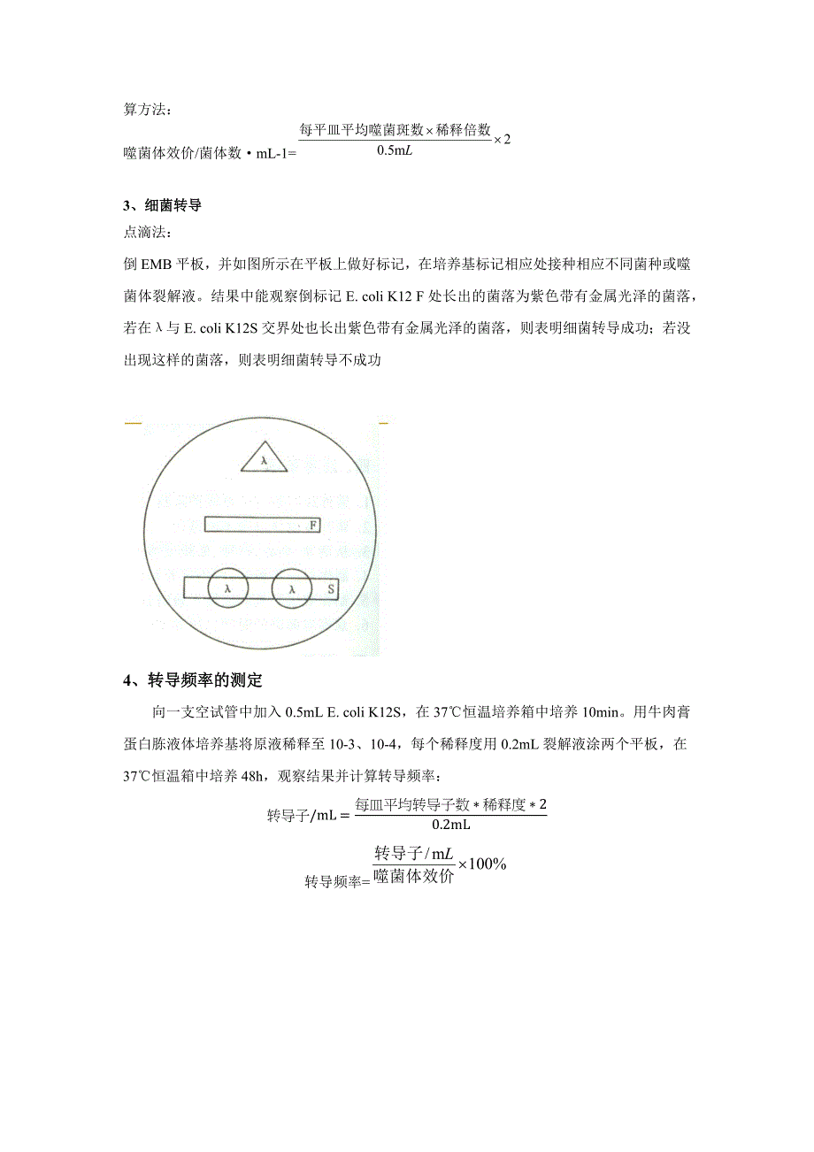 噬菌体裂解液的制备、噬菌体效价测定及转导_第3页