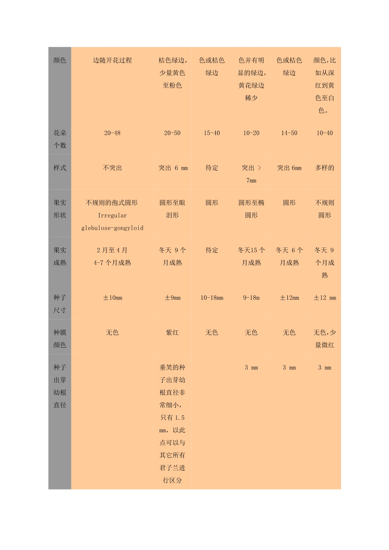 不同品种君子兰的比较_第2页