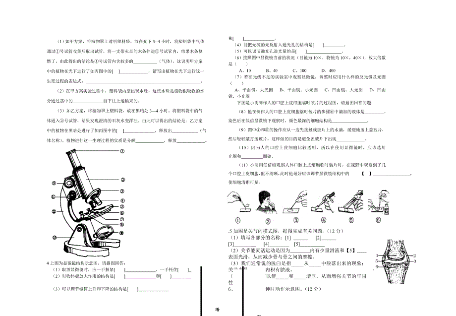 2011年春七年级生物试题(局属)_第2页