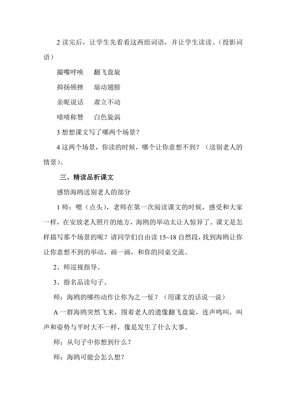 21老人与海鸥教学设计_第3页