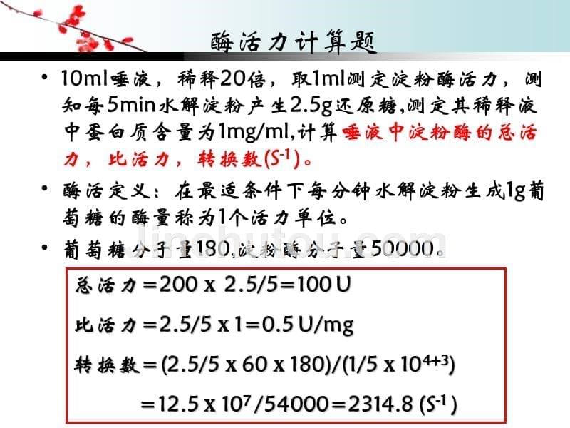 11年生化考前复习_第5页