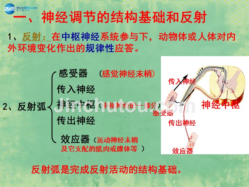 （教师用书）2015高中生物 第2章 第1节 通过神经系统的调节 PPT课件 新人教版必修3_第5页