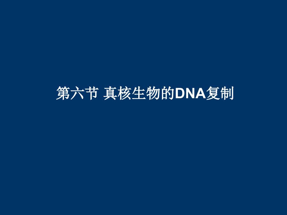 11DNA真核复制3_第1页