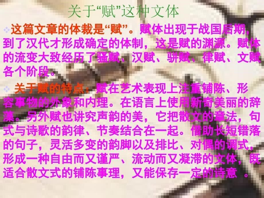 《赤壁赋》ppt_第5页