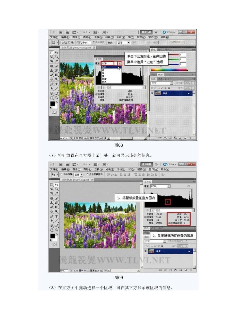 PS使用直方图分析图像色彩_第5页