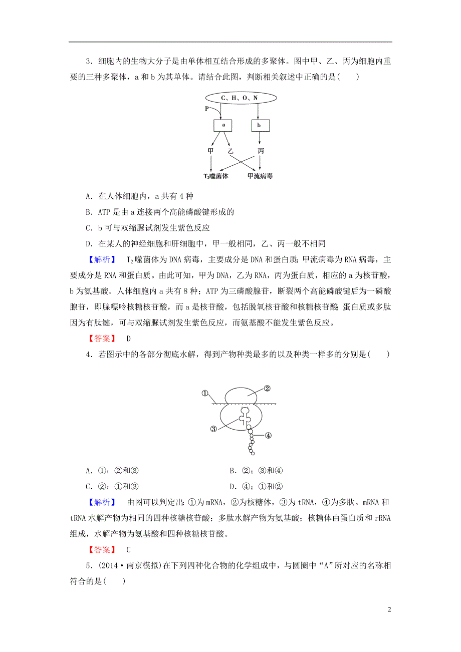 【高考讲坛】（新课标）2015届高考生物一轮复习 第1单元 第4讲 核酸、糖类和脂质课时限时检测_第2页