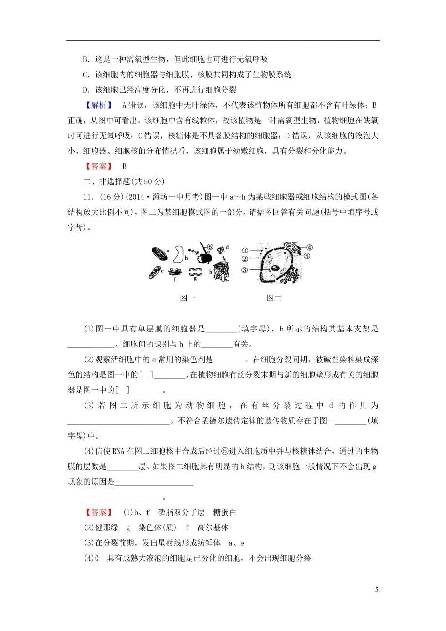 【高考讲坛】（新课标）2015届高考生物一轮复习 第2单元 第2讲 细胞器 系统内的分工合作课时限时检测_第5页