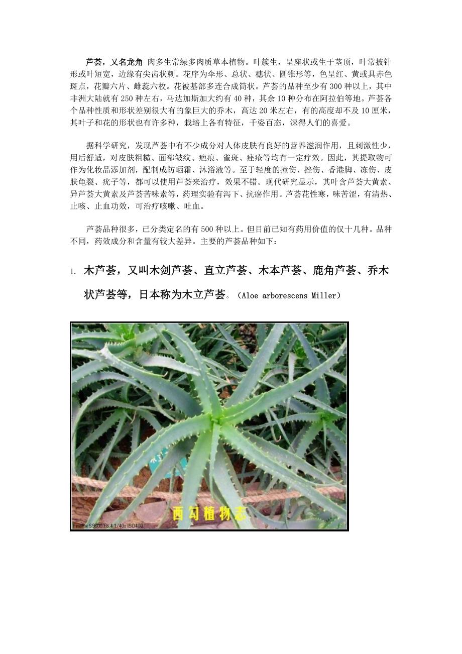 芦荟品种大全(配图)_第1页