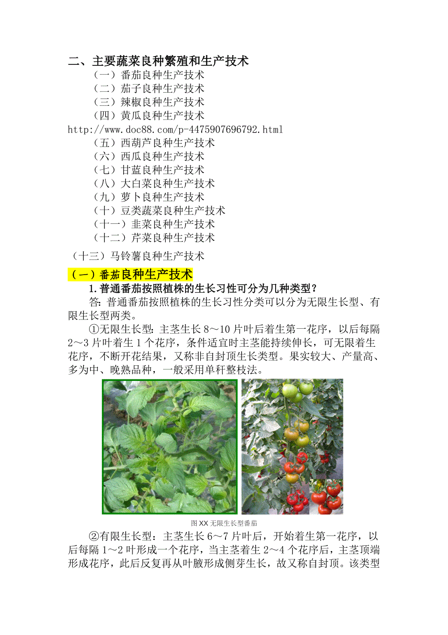 番茄良种生产技术定稿_第1页