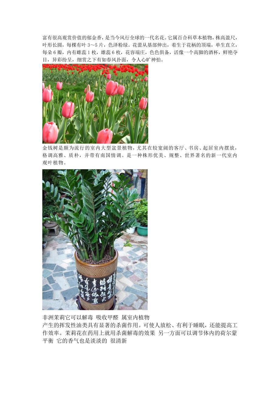 设计说明和植物图解_第2页