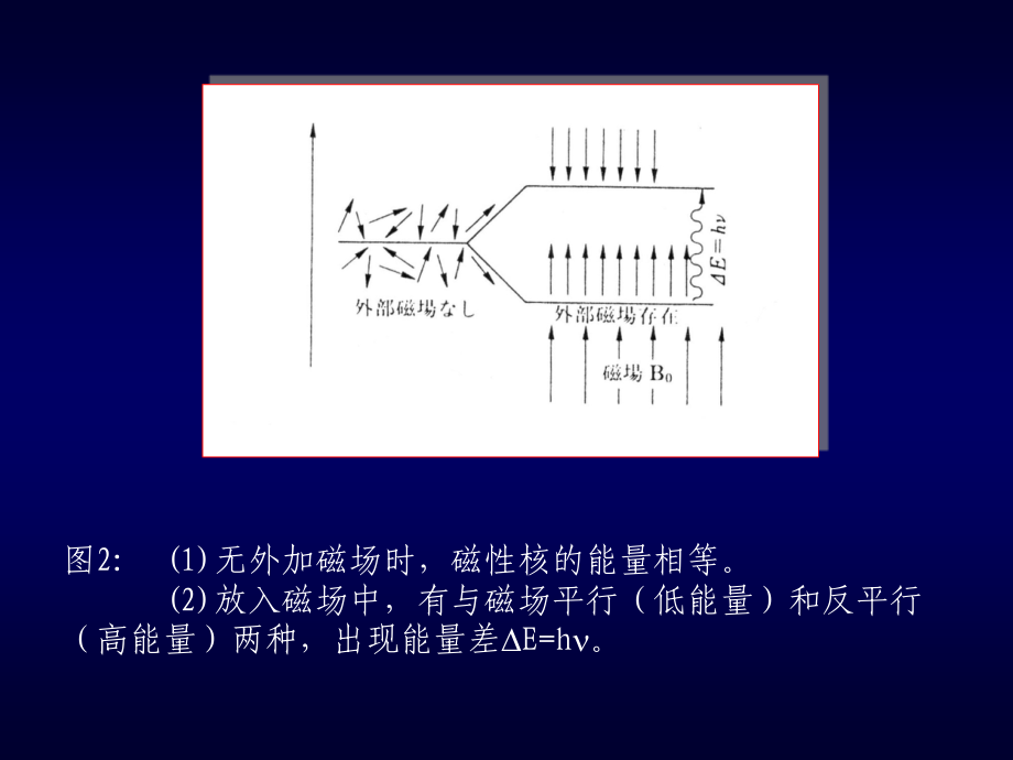 仪器分析_张新荣_核磁共振_第3页