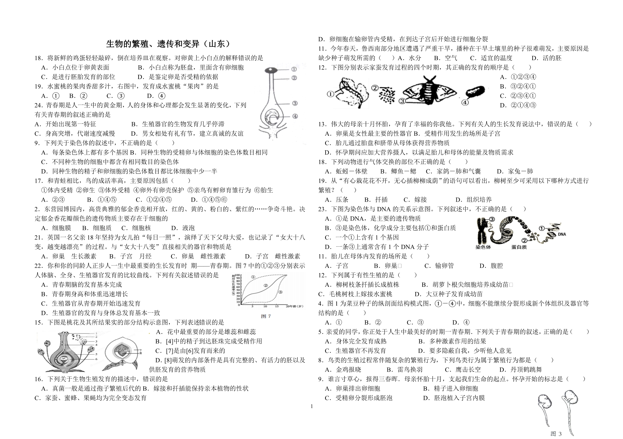 7生物的繁殖、遗传和变异全国山松_第1页