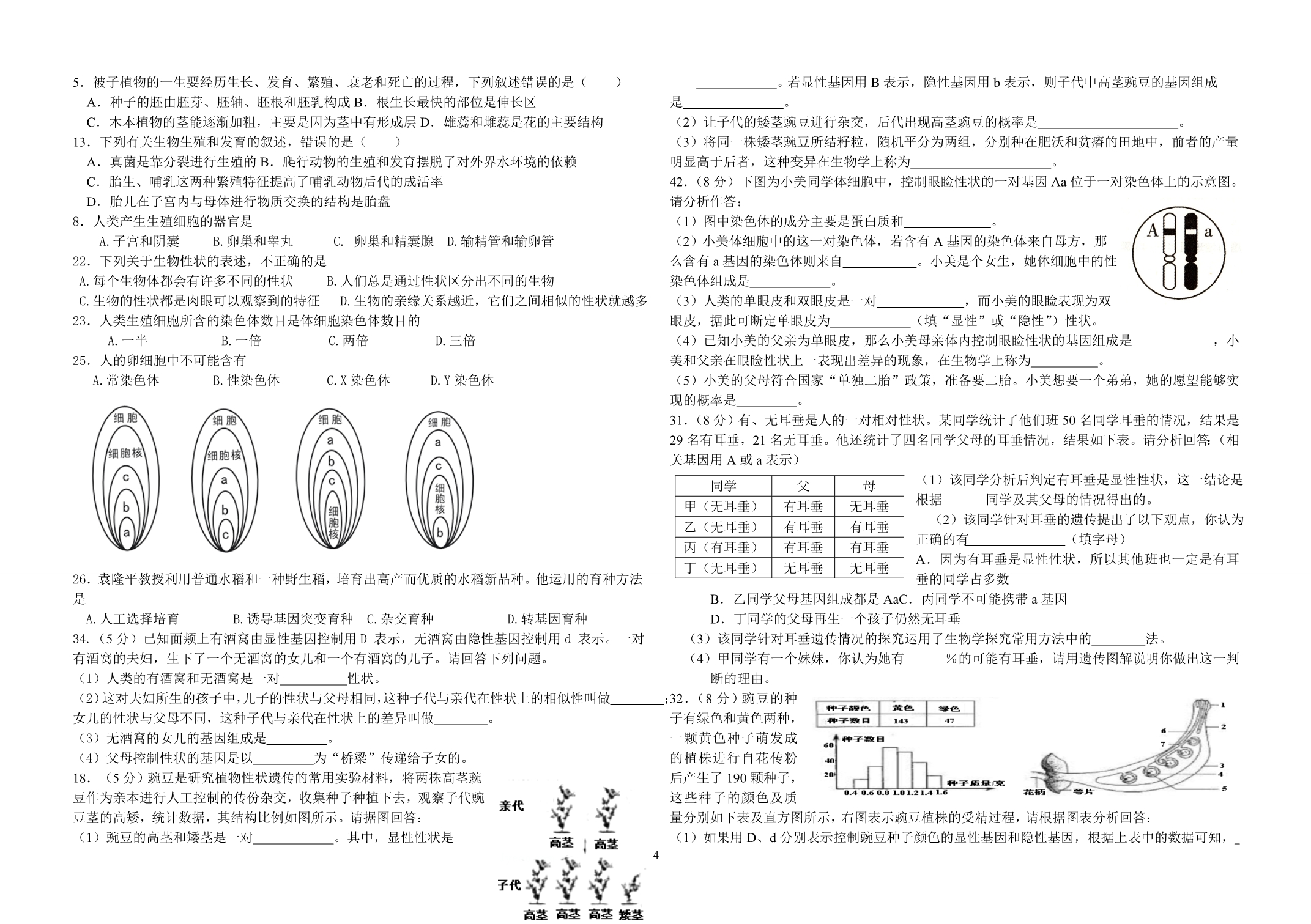 7生物的繁殖、遗传和变异全国山松_第4页