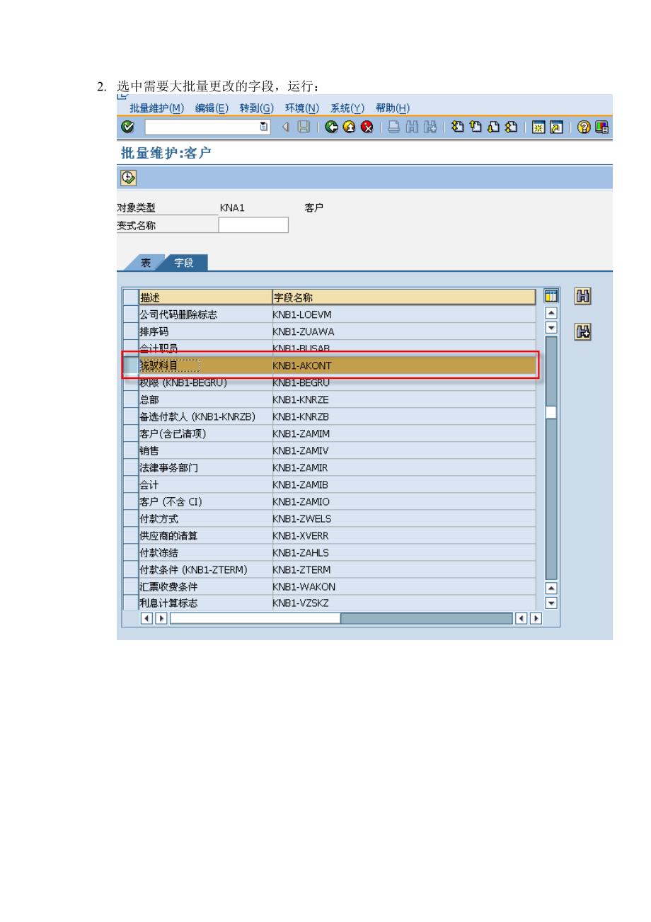通过XD99批量维护SAP客户主数据_第2页