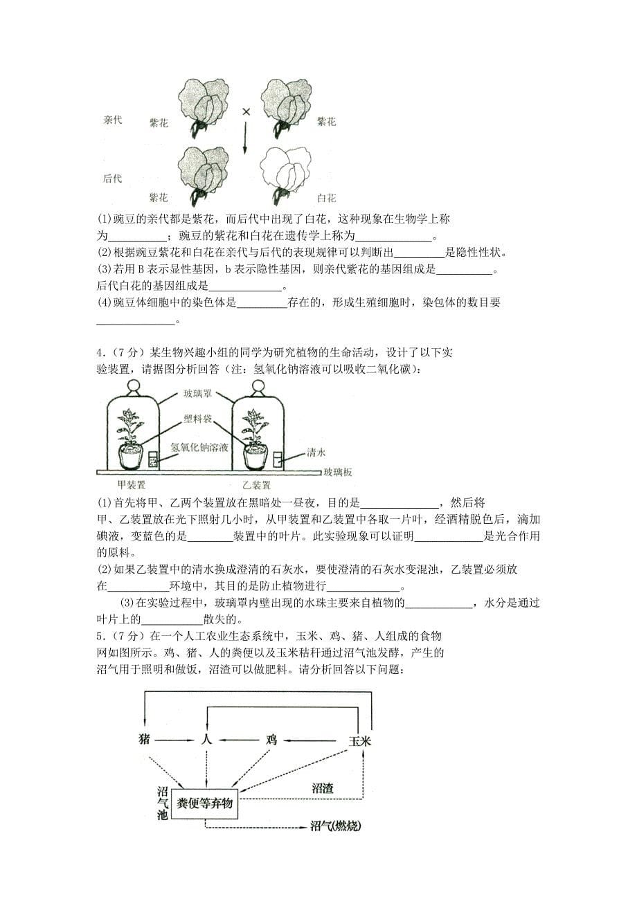 济南版初中生物学总复习试题及答案_第5页