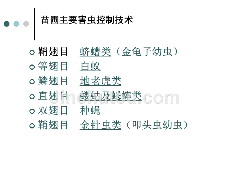林木地下病虫害控制_第1页