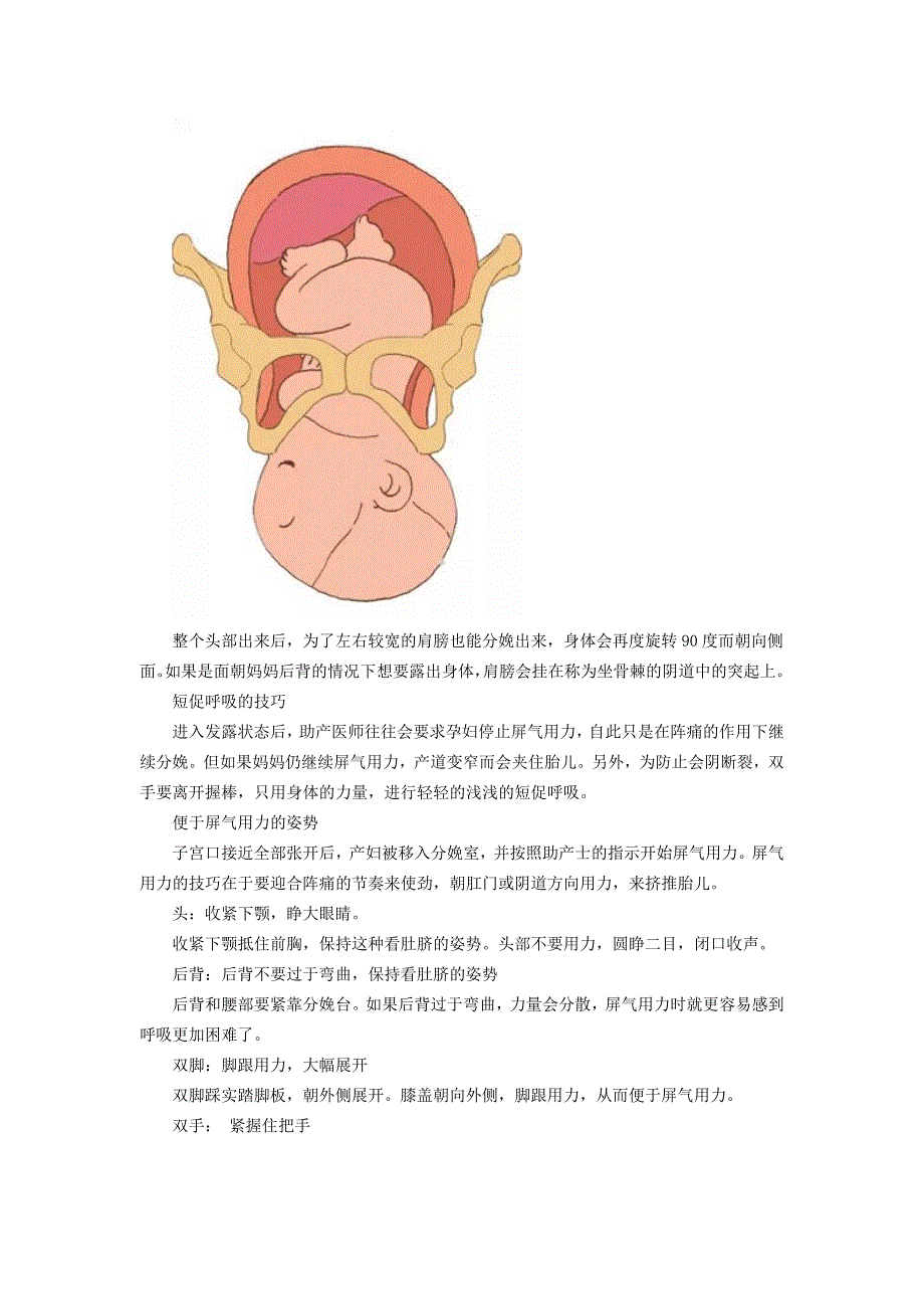 duang分娩过程动画详解(图)_第4页