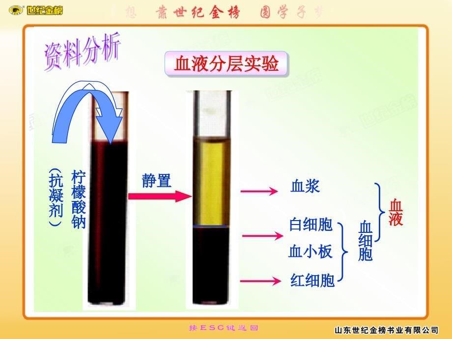 第四章人体内物质的运输第一节流动的组织——血液_第5页