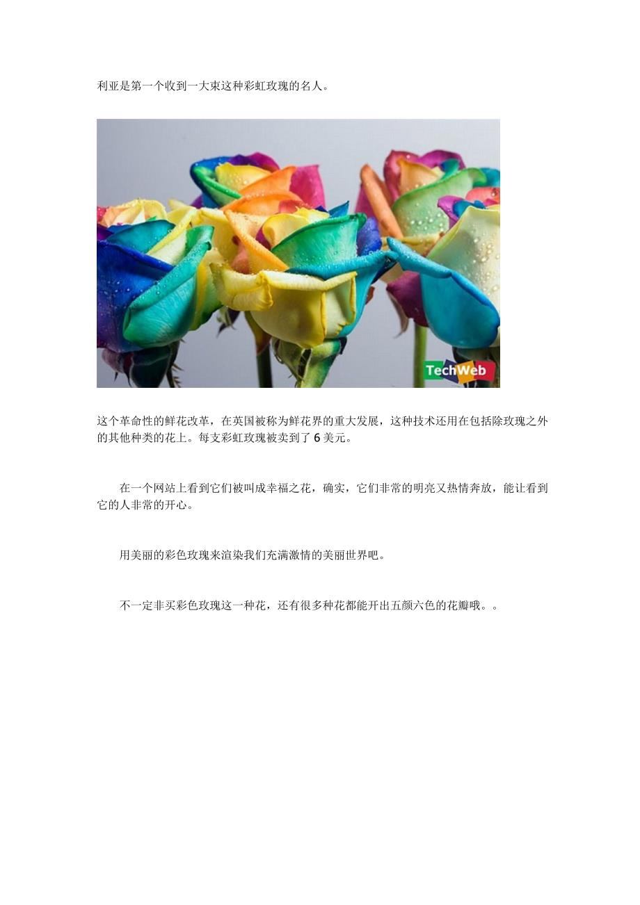 高科技培育的彩虹玫瑰 送给爱人的幸福之花_第3页
