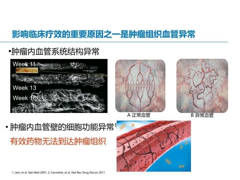 贝伐珠单抗抗血管机制_第5页