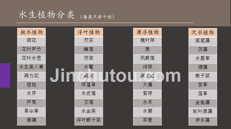 水生植物分类_第2页