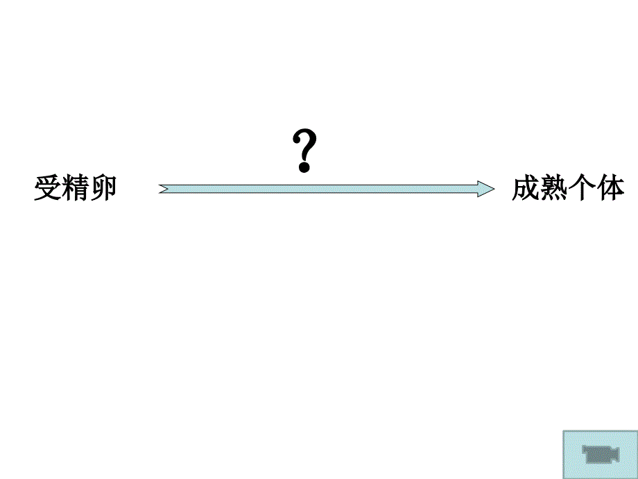 细胞的分化衰老凋亡癌变_第2页