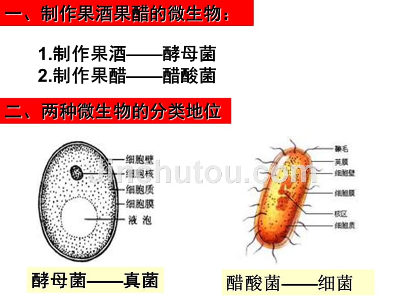 11果酒和果醋的制作资料_第4页