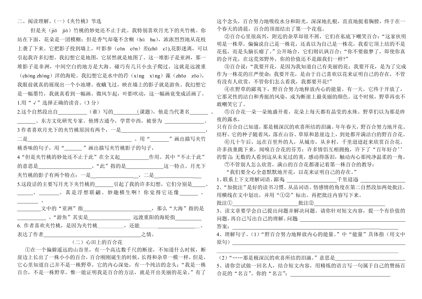 苏教版六年级下册语文第六单元测试定_第2页