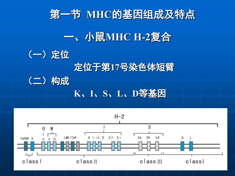 免疫学11-主要组织相容性复合体_第4页