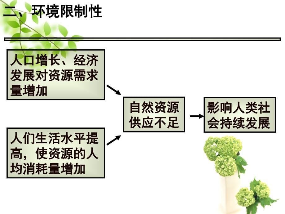 高一地理必修_第一章_第二节_人口合理容量(湘教版)_第5页