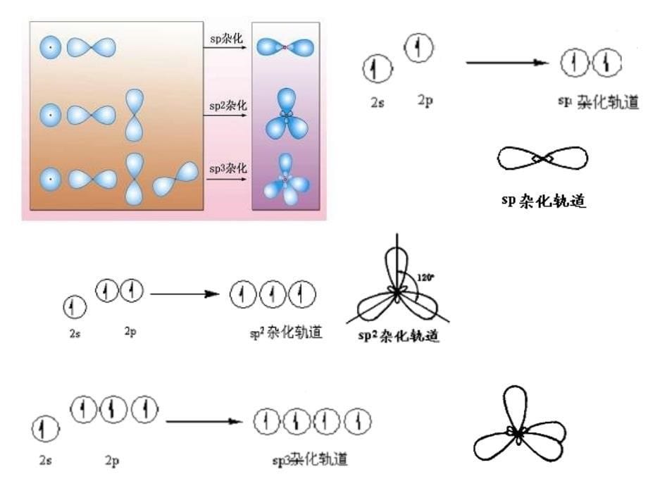 高二化学分子的空间结构_第5页