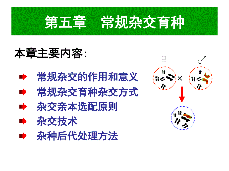 第五章杂交育种_第1页